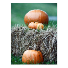 pumpkins postcards
