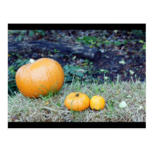 pumpkins postcards
