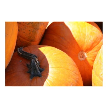 Pumpkins print