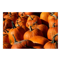 Pumpkins Poster posters