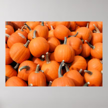 Pumpkins Poster