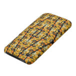 Pumpkins, Squash, and Gourds Iphone 3 Case-mate Case