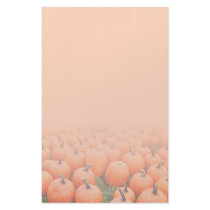 Pumpkins Stationery Paper