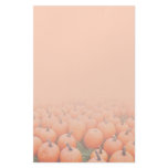 Pumpkins Stationery Paper