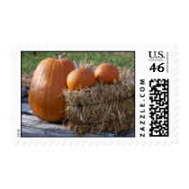 Pumpkins & Straw postage by closphotos Pumpkins & Straw postage