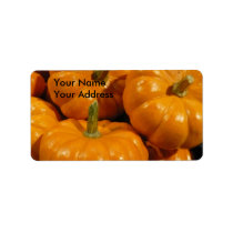 pumpkins Up close labels