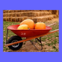 Pumpkins & Wheelbarrow posters