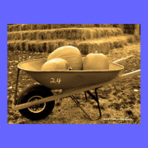 Pumpkins & Wheelbarrow - Sepiatone posters