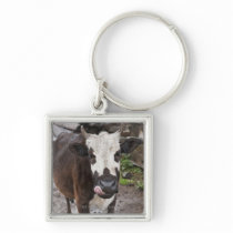 punakha district bhutan keychain