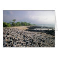 Punalu'u Black Sand Beach card