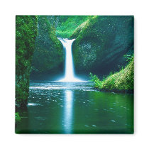 Punch Bowl Falls Fridge Magnets