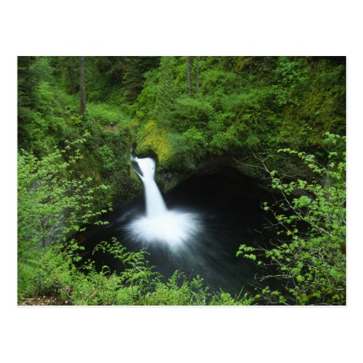 Punchbowl Falls on Eagle Creek, Columbia River Postcard