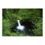 wood, creek, roddy scheer, pacific northwest,