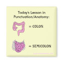 Punctuation/Anatomy Lesson magnet by MsMihalov Punctuation/Anatomy Lesson magnet