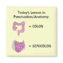 Punctuation/Anatomy Lesson magnet