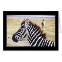 Punda Milia (Zebra) Profile Greeting Cards
