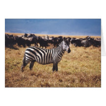 Pundamilia (Zebra) Greeting Cards