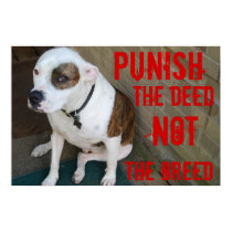 Punish the deed ~ Not the breed posters by malibuitalian Punish the deed ~ Not the breed posters