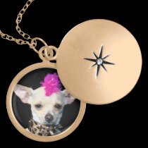 Punk Chihuahua gold finish locket necklaces
