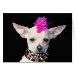 Punk Chihuahua Notecard