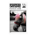 Punk Horse stamp