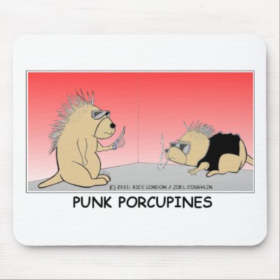 Funny Porcupines