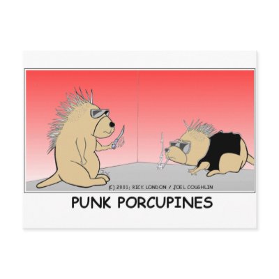 Funny Porcupines
