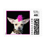 Punk Rock Chihuahua Postage