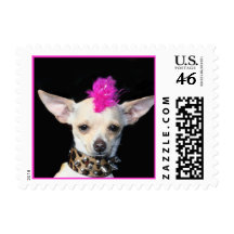 Punk Rock Chihuahua Postage