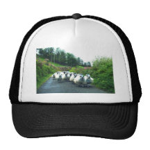 Punk Sheep on the Beara Peninsula Ireland Hat