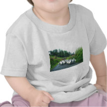Punk Sheep on the Beara Peninsula Ireland Tees