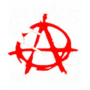 punk t-shirt punk t-shirt