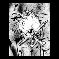 Punkskull posters