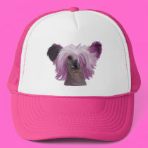 Punky2 hats