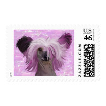 Punky2 Postage Stamp