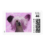 Punky2 postage