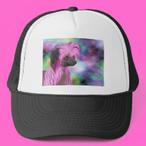 Punky hats