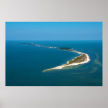Punto del cocodrilo, la Florida Poster