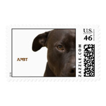 pup, APBT Stamp