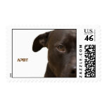 pup, APBT postage
