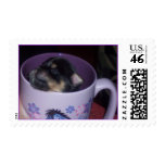 Pup in a Cup postage
