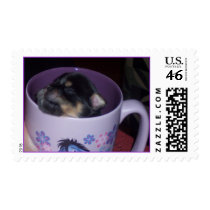 Pup in a Cup postage by ariescherub1 Pup in a Cup postage