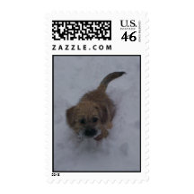 Pup in the Snow Postage