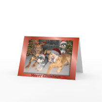 Pup Merry Christmas Greeting Card by LuraDee Pup Merry Christmas Greeting Card