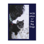 Pup Postcards