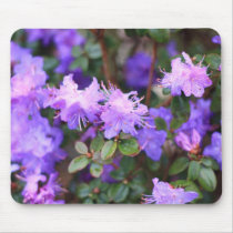 puple azalea flowering bush mousepads