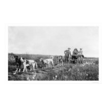 Pupmobile Train Nome, Alaska 1906 posters