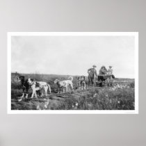 Pupmobile Train Nome, Alaska 1906 Posters