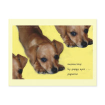Pupnosis Haiku Art Postcard - Collectible Postcard