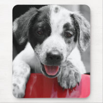 Pupp mousepads by iiiyaaa Pupp mousepads